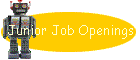 Junior Job Openings